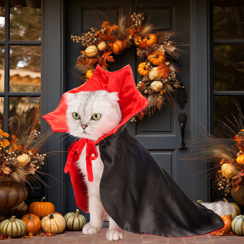 Halloween Dracula Pet Costume