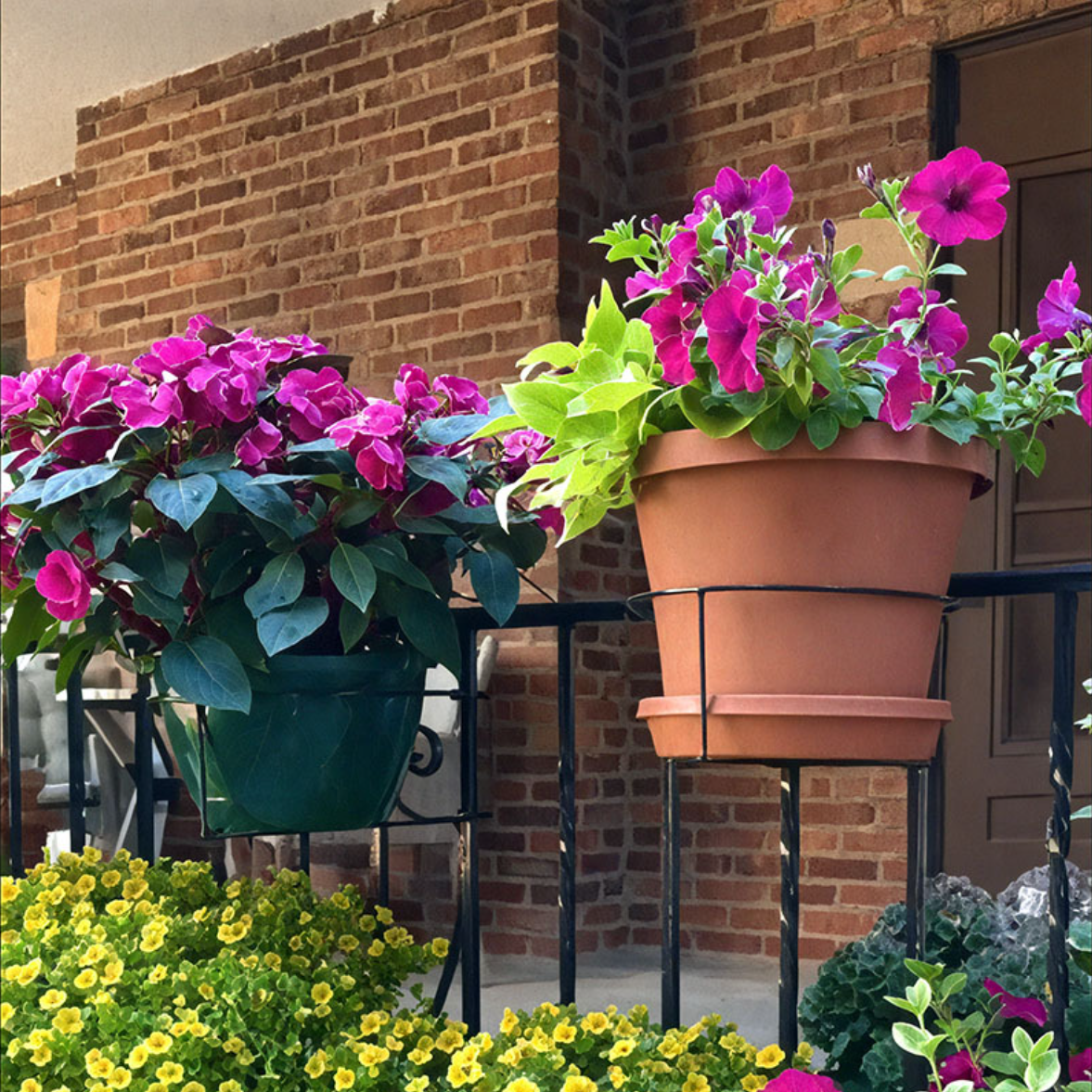 🪴Last Day 49% OFF-Hanging Planters and Baskets Clip
