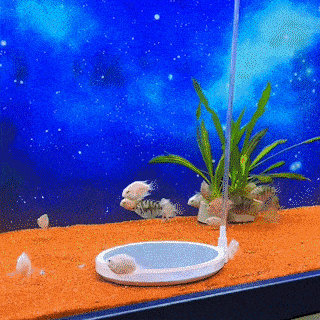 🎁Last Day 49% OFF-Nanoscale Ceramic Bubble Oxygen Disc