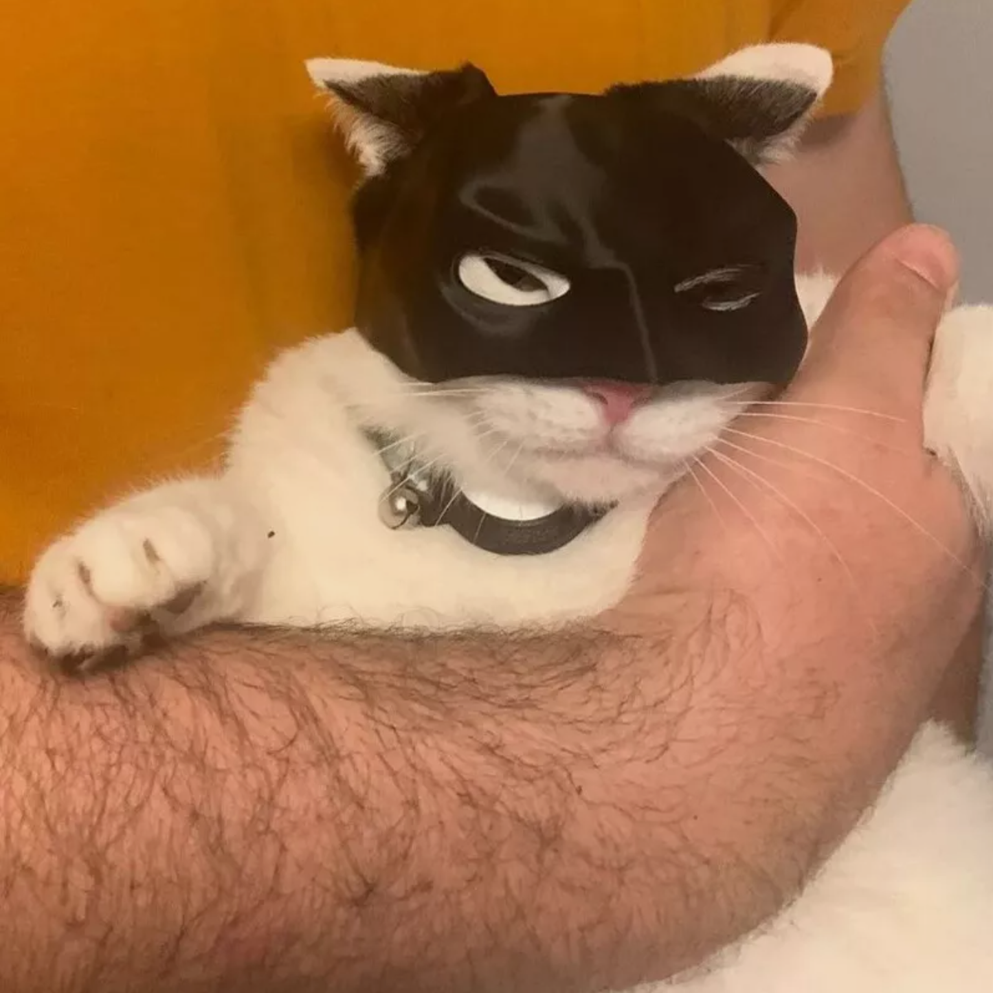 Cat Bat Cosplay Half Face Mask