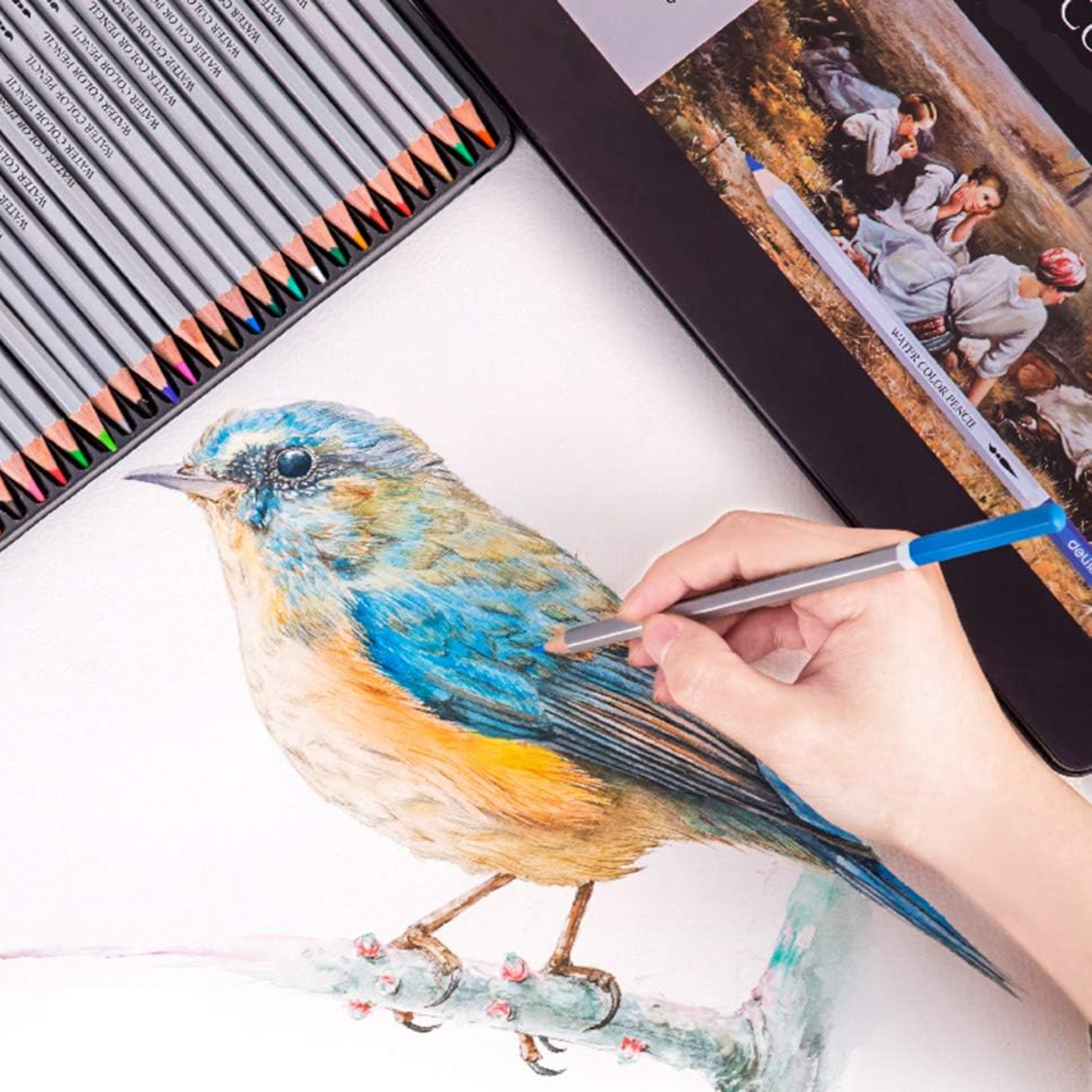 🎁High Chroma Colored Pencil Set