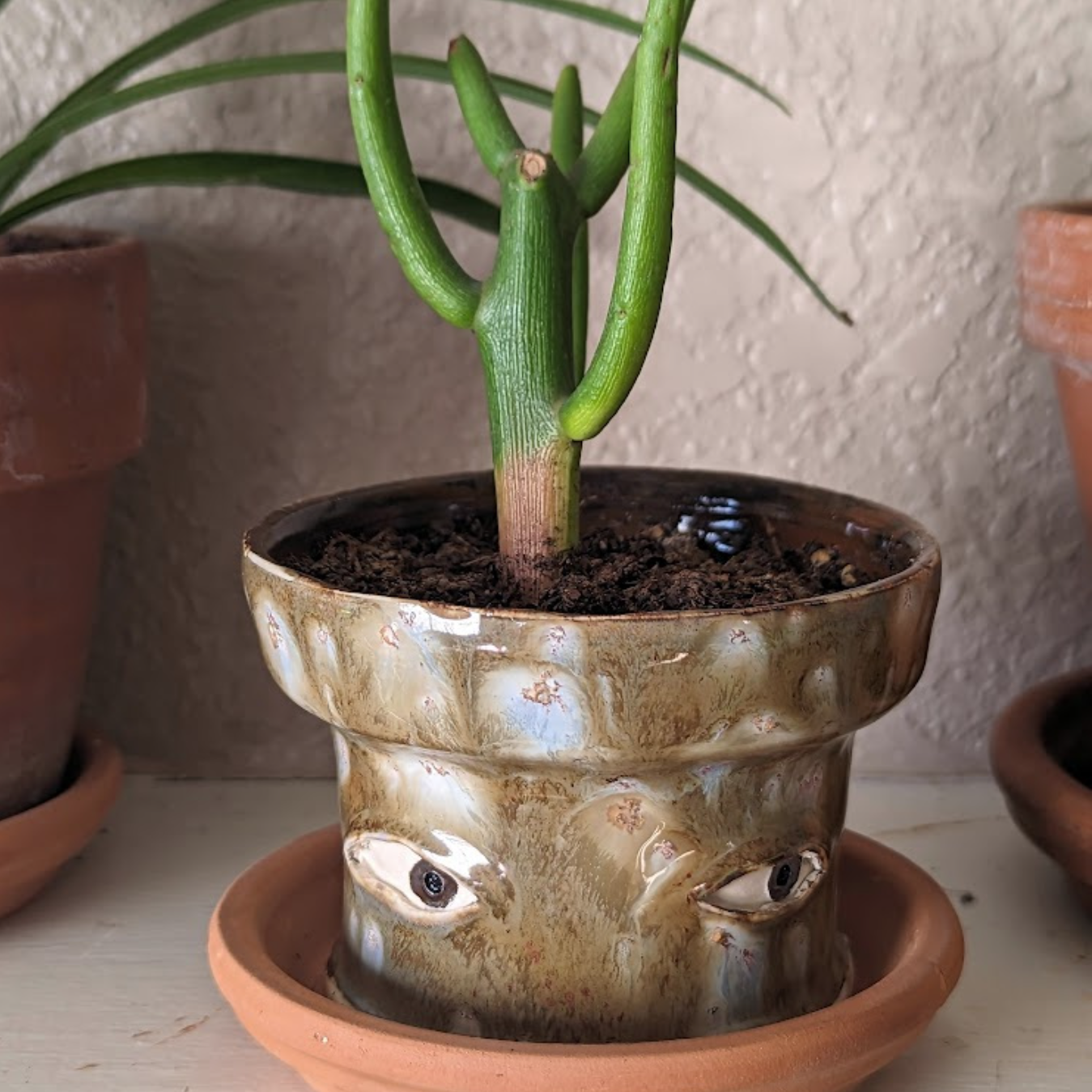 Mother's Day Special 49% OFF🎁A Crying Flowerpot (Handmade)