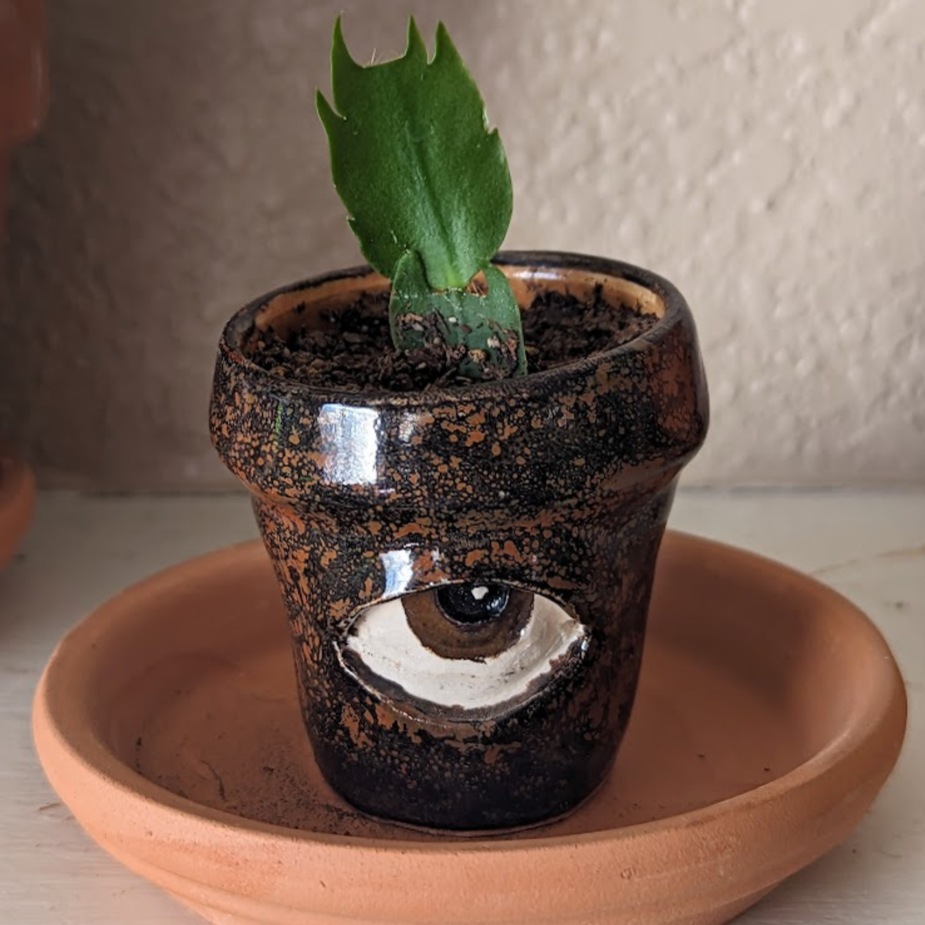 Mother's Day Special 49% OFF🎁A Crying Flowerpot (Handmade)