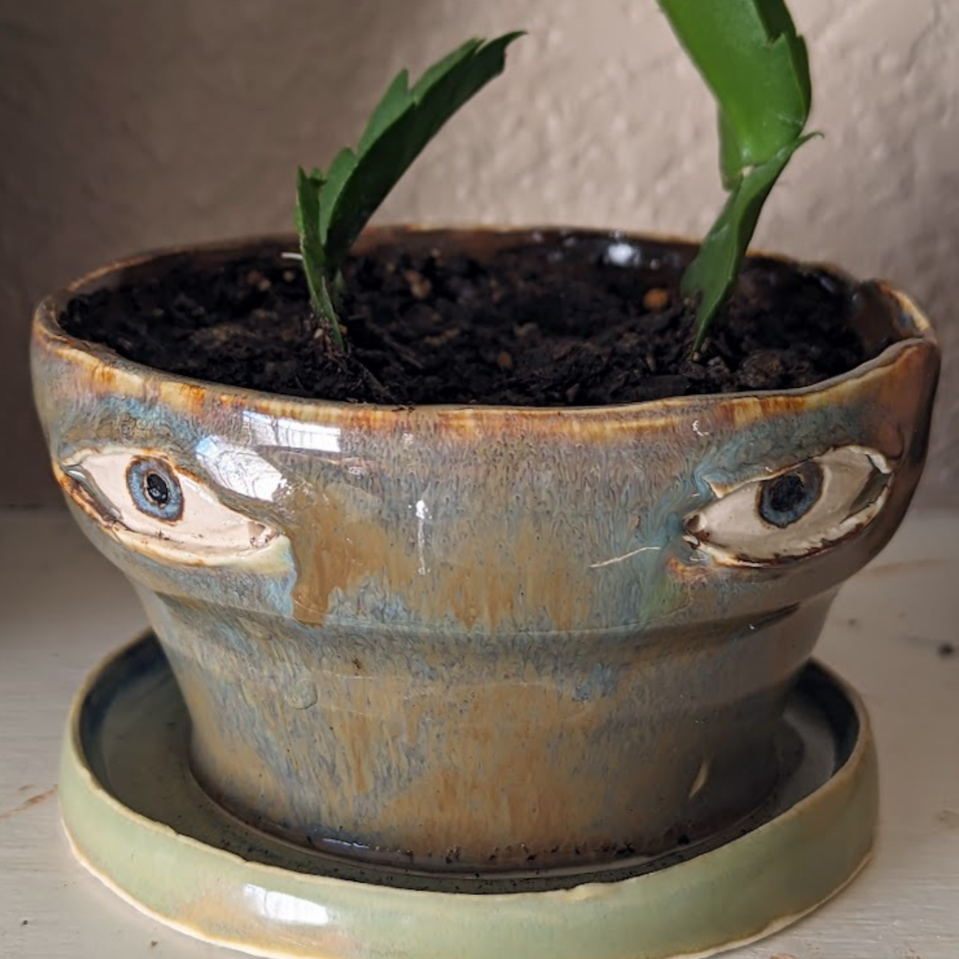 Mother's Day Special 49% OFF🎁A Crying Flowerpot (Handmade)