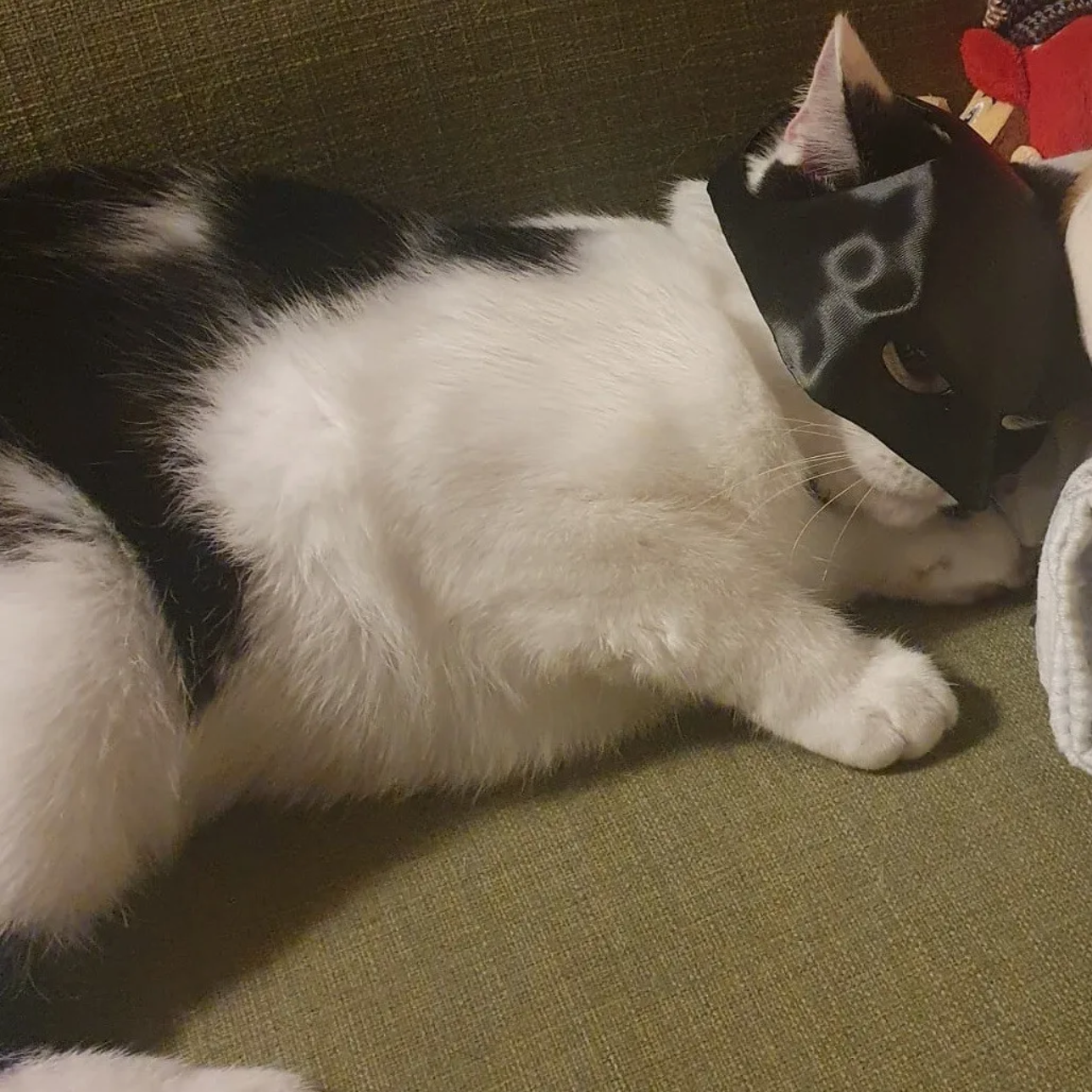 Cat Bat Cosplay Half Face Mask