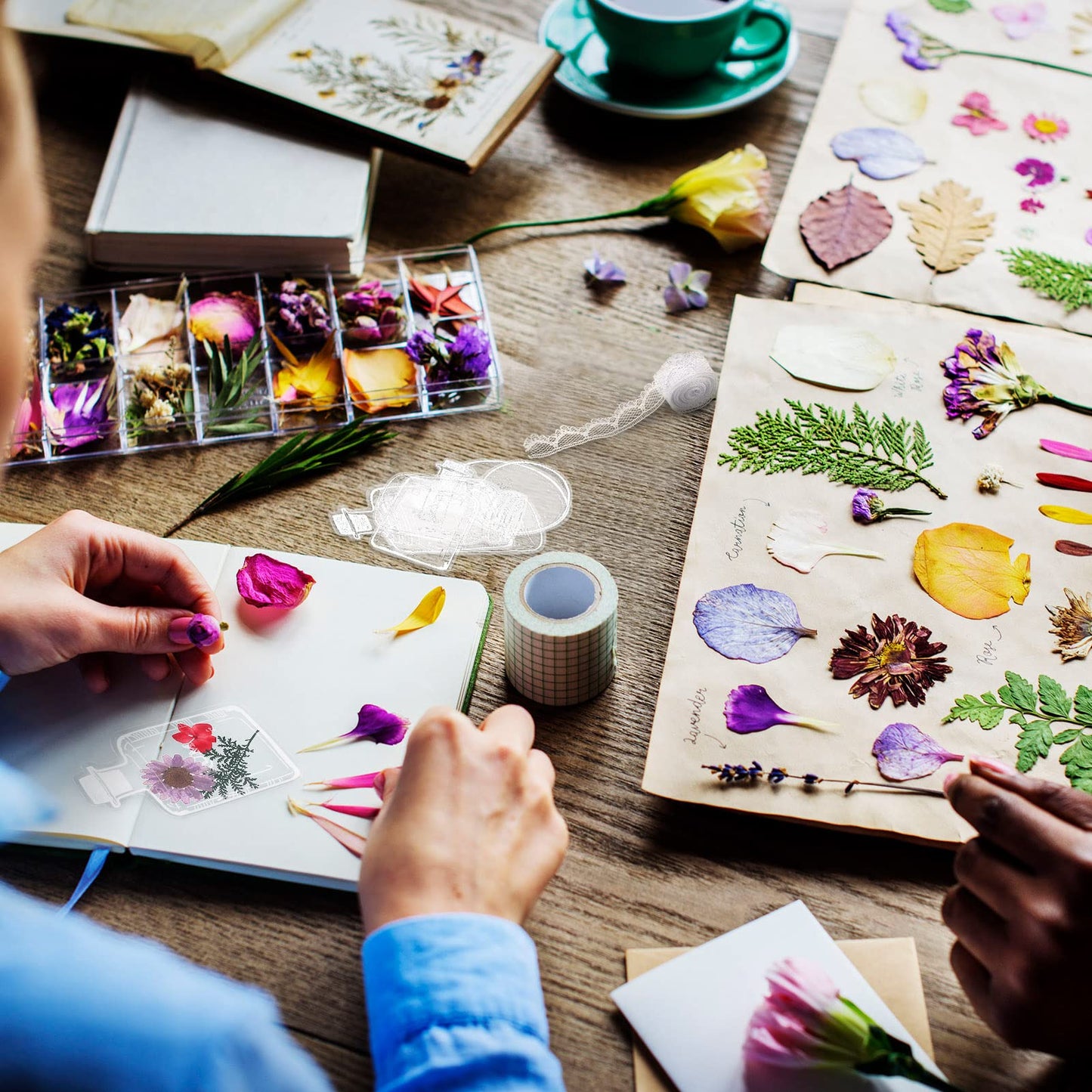 Lot de marque-pages en fleurs séchées - ACHETEZ-EN 3, OBTENEZ-EN 2 GRATUITS ET LIVRAISON GRATUITE