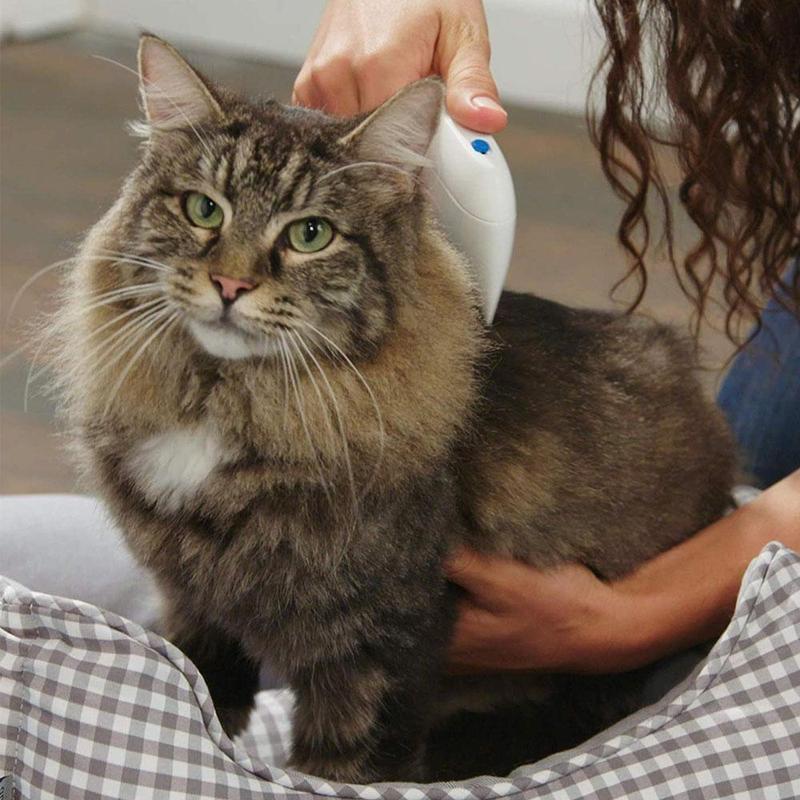 Electric Flea Remover for Pets - elehancea