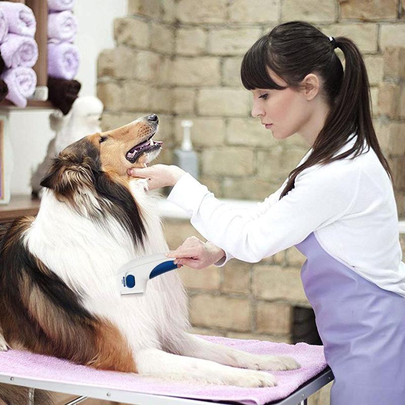 Electric Flea Remover for Pets - elehancea