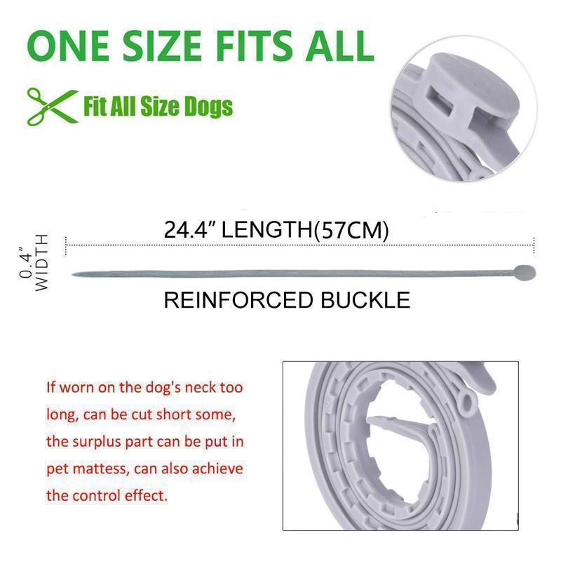 Pro Guard Flea and Tick Collar for Dogs - elehancea