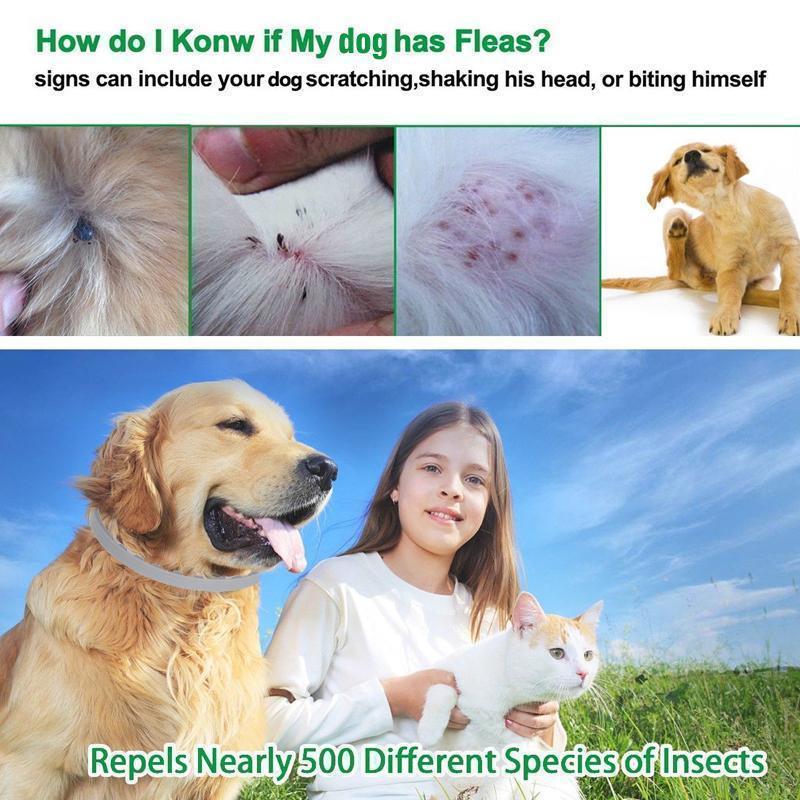 Pro Guard Flea and Tick Collar for Dogs - elehancea