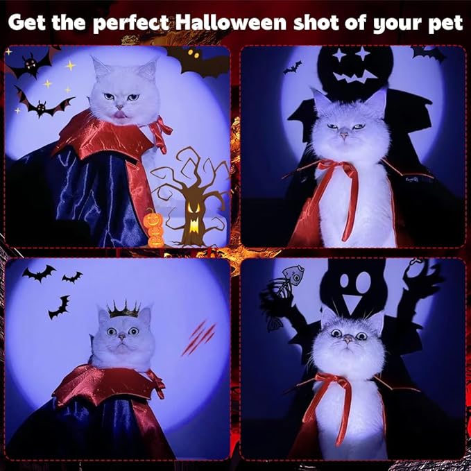 Halloween Dracula Pet Costume