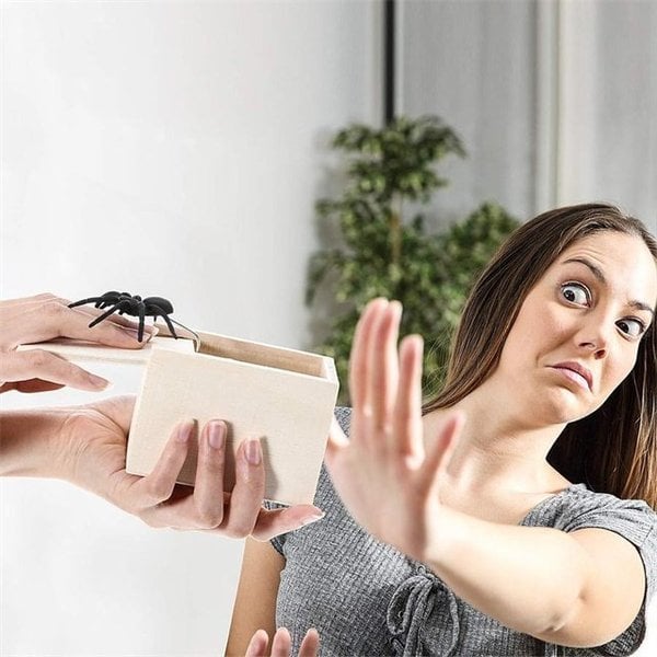 Super Funny Crazy Prank Gift Box Spider 🎁Special Gifts for Friends/Family! - elehancea