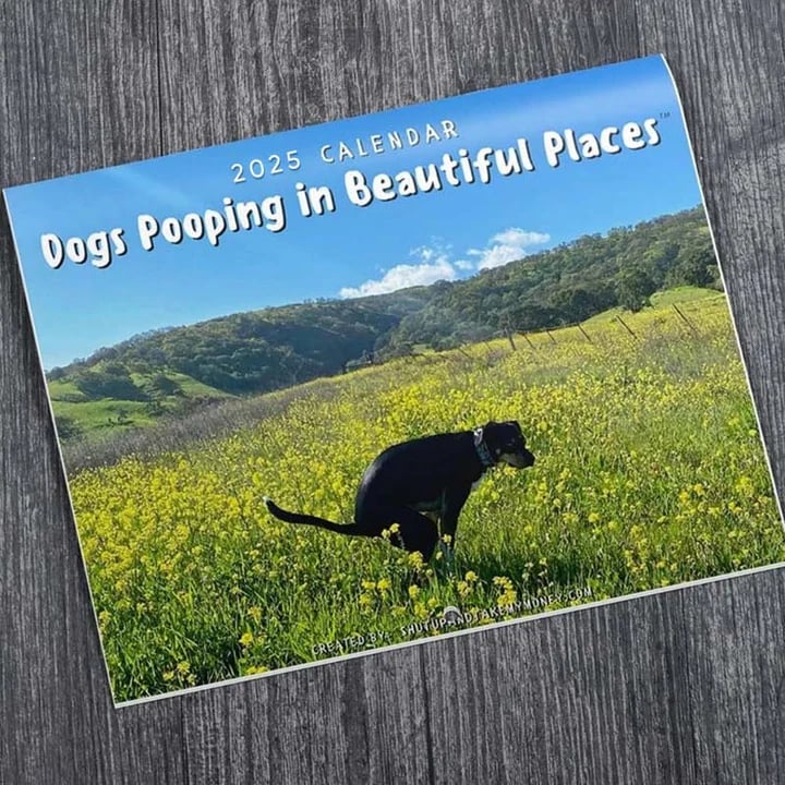😆Funniest calendar of the century|"Artistic expression" of furry friends - elehancea