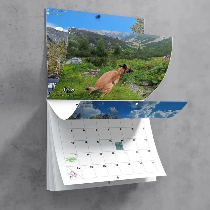 😆Funniest calendar of the century|"Artistic expression" of furry friends - elehancea