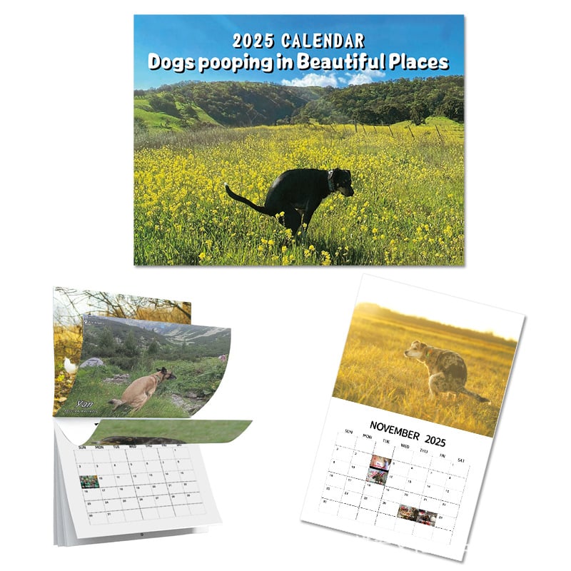 😆Funniest calendar of the century|"Artistic expression" of furry friends - elehancea