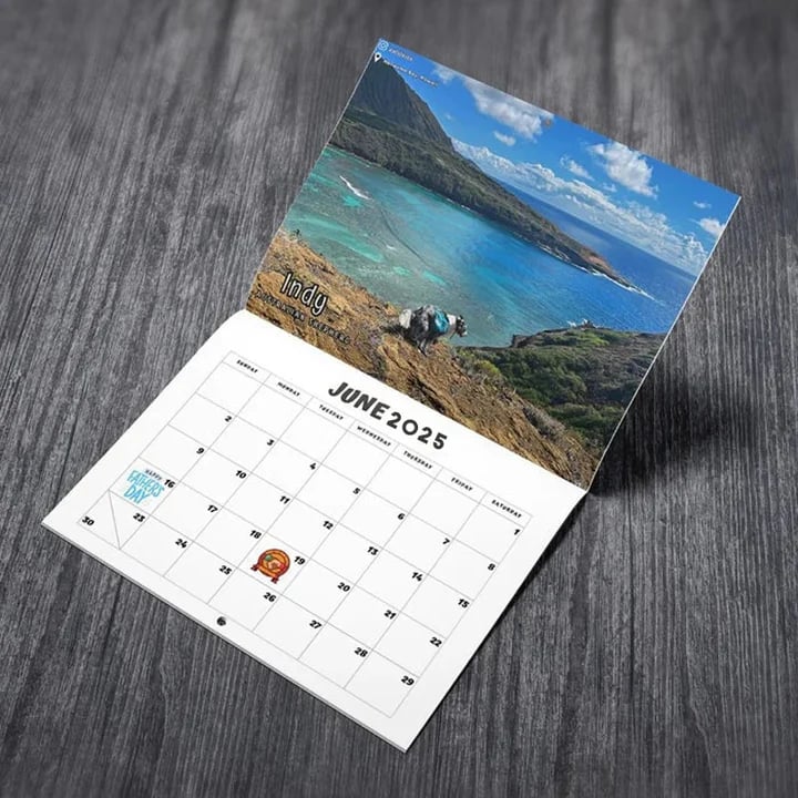 😆Funniest calendar of the century|"Artistic expression" of furry friends - elehancea