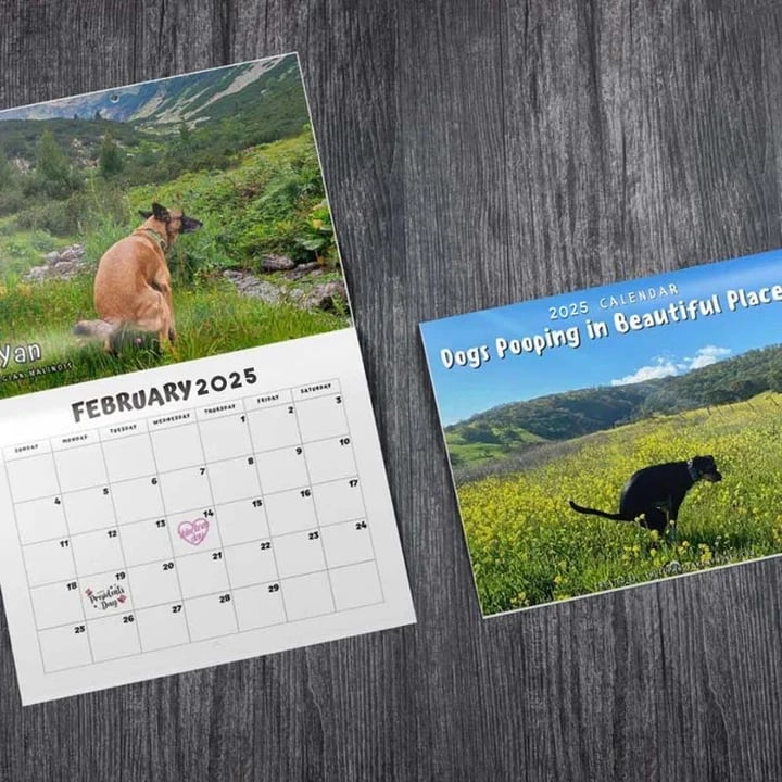 😆Funniest calendar of the century|"Artistic expression" of furry friends - elehancea