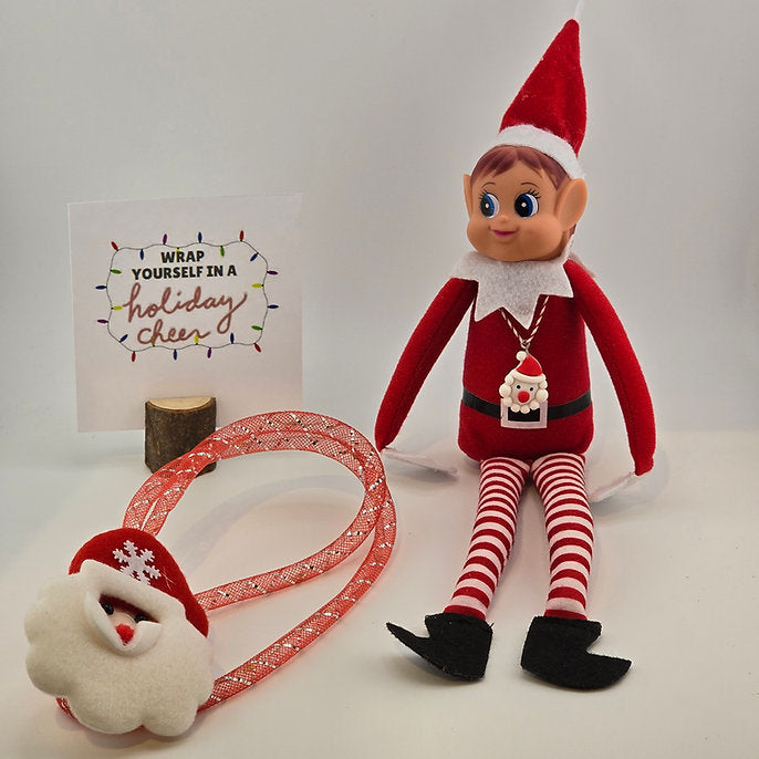 🌲Christmas Sales 49% OFF-🎁2024 Elf Kit (12 Days or 24 Days)