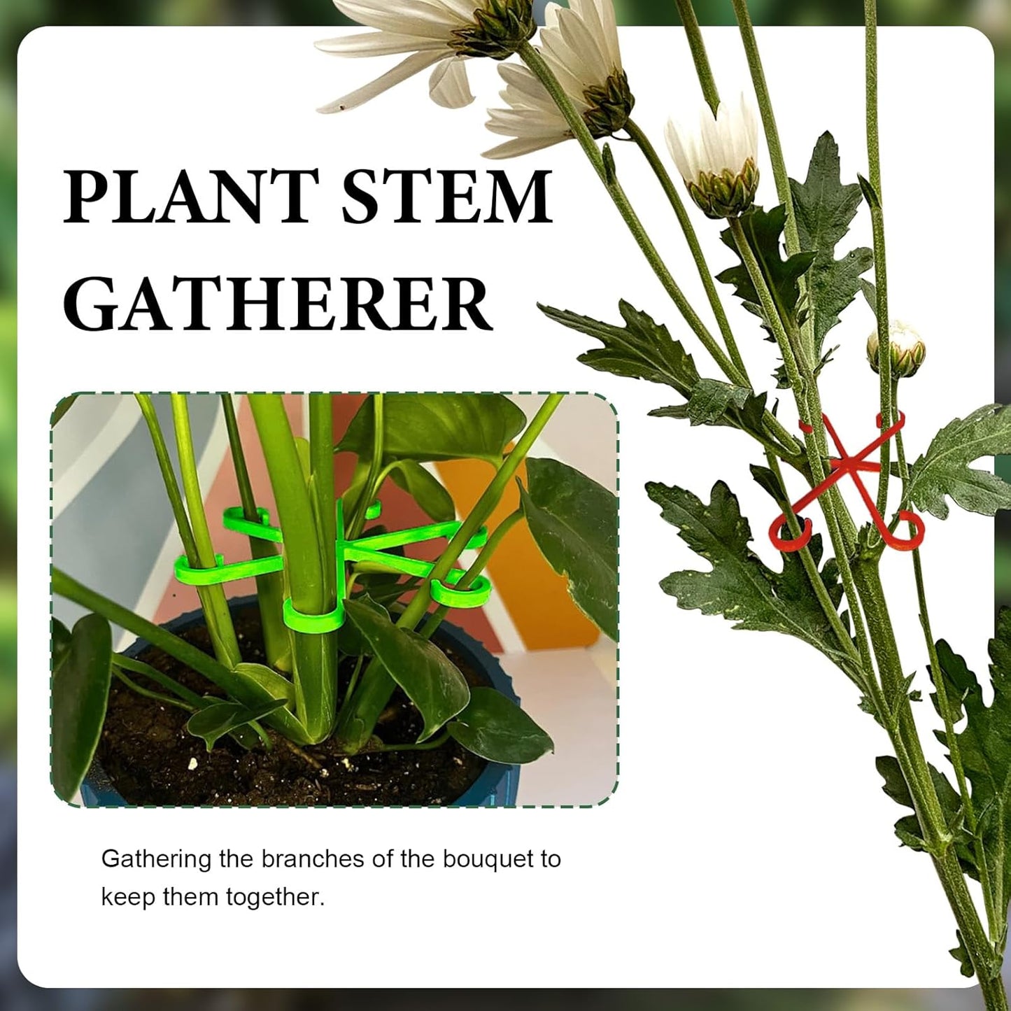 Plant Stem Supports for Supporting Plant Growth