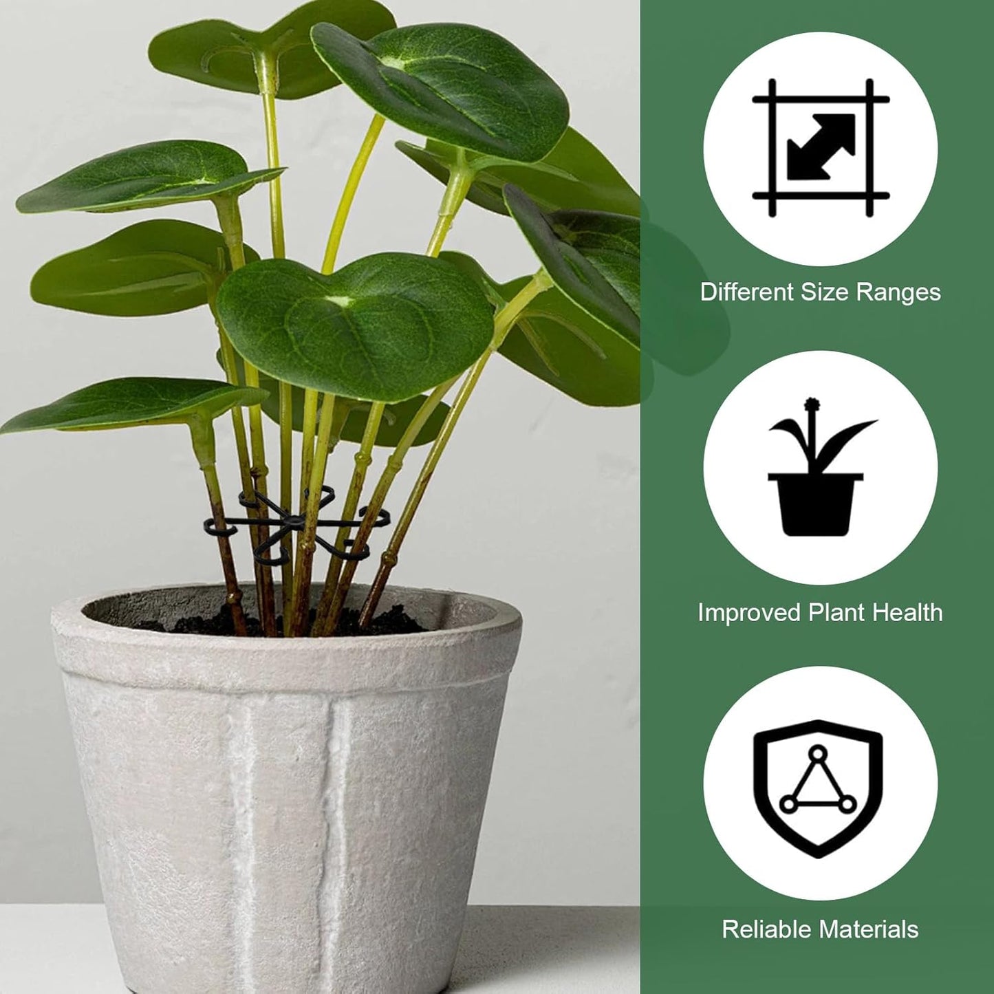 Plant Stem Supports for Supporting Plant Growth