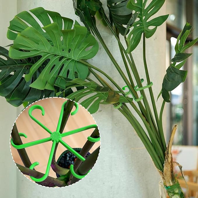 Plant Stem Supports for Supporting Plant Growth