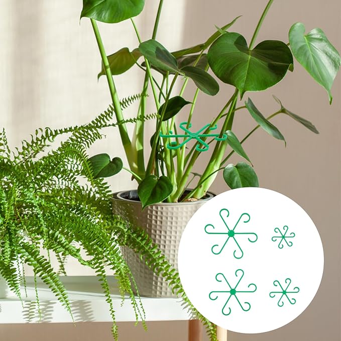 Plant Stem Supports for Supporting Plant Growth