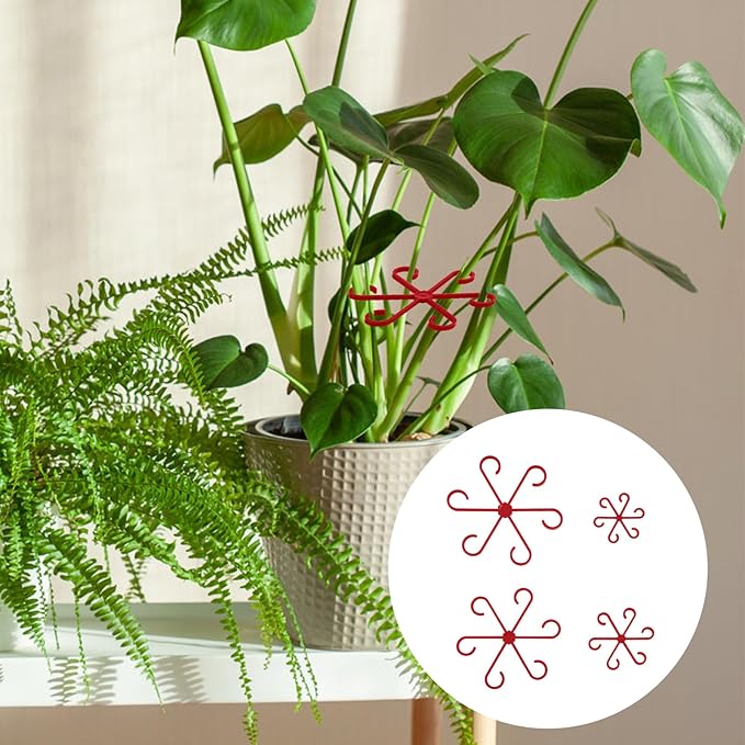 Plant Stem Supports for Supporting Plant Growth