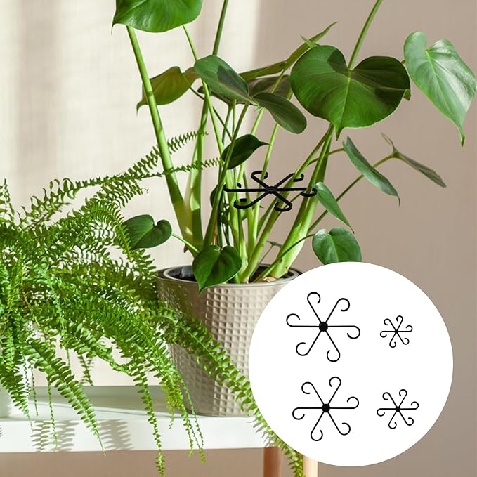 Plant Stem Supports for Supporting Plant Growth
