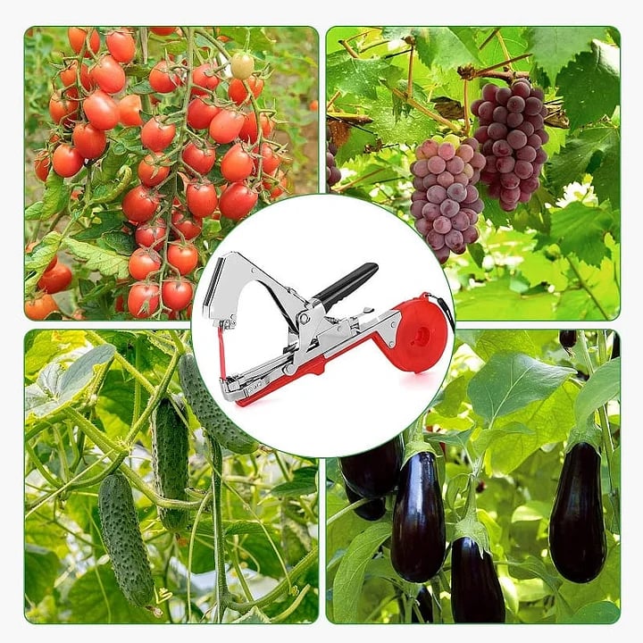 Last Day 49% OFF -🍅Plant Tying Machine🌶️