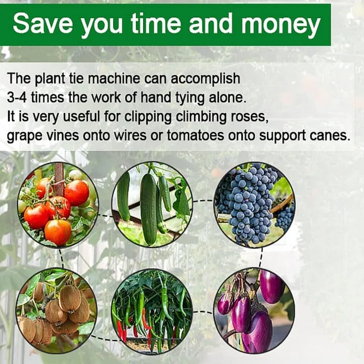 Last Day 49% OFF -🍅Plant Tying Machine🌶️
