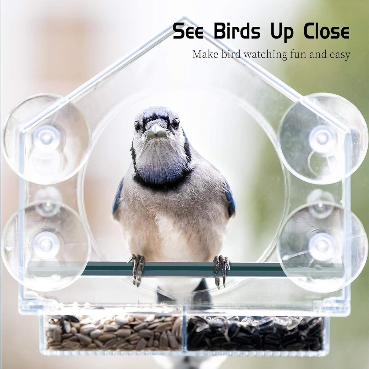🪴Last Day 49% OFF-Window Bird Feeder with Strong Suction Cups