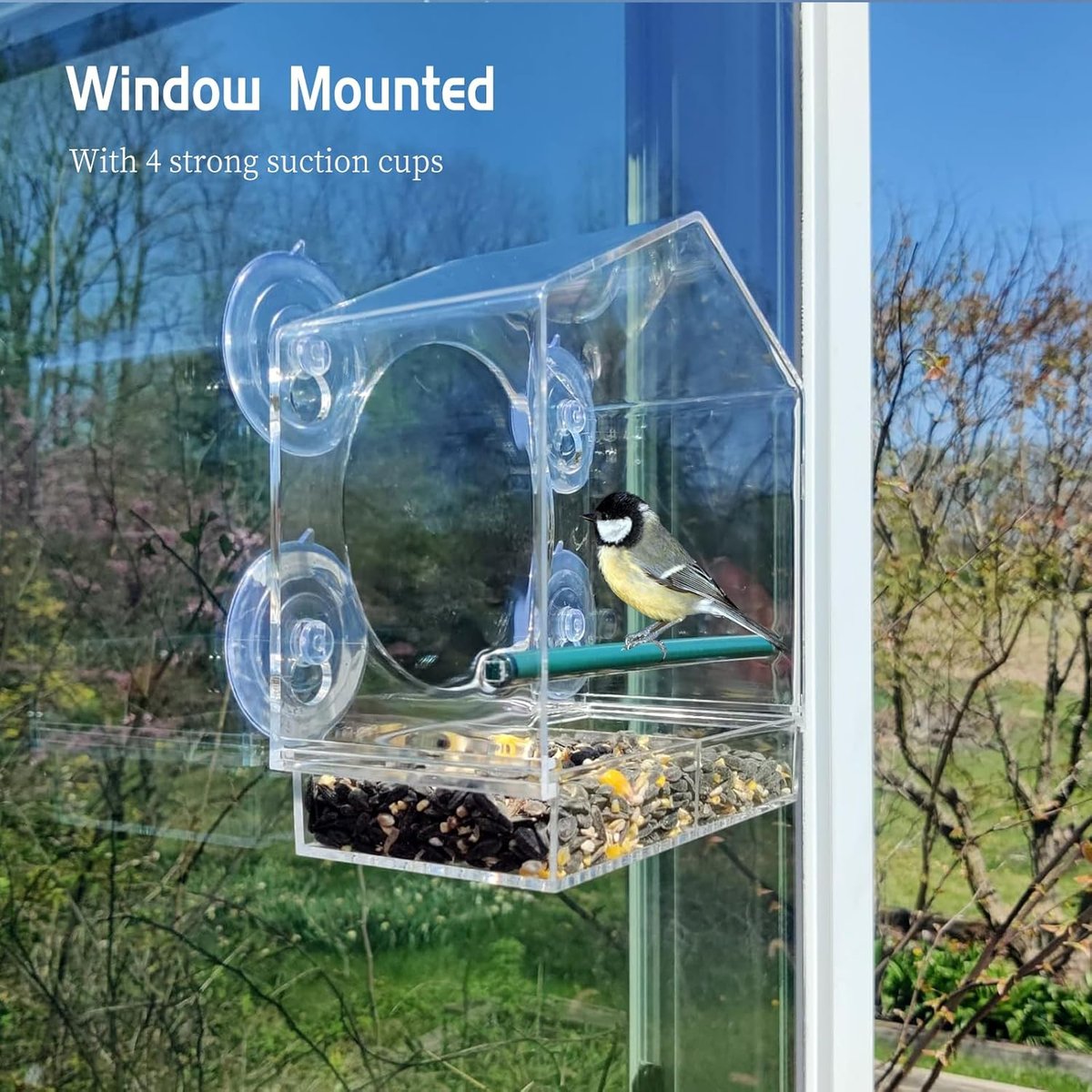 🪴Last Day 49% OFF-Window Bird Feeder with Strong Suction Cups
