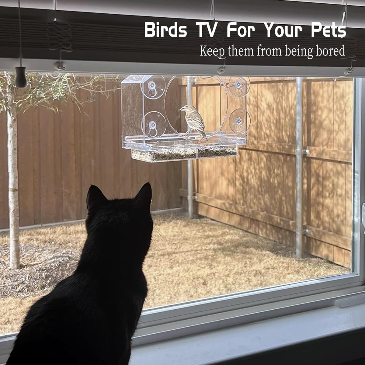 🪴Last Day 49% OFF-Window Bird Feeder with Strong Suction Cups
