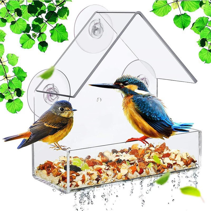 🪴Last Day 49% OFF-Window Bird Feeder with Strong Suction Cups
