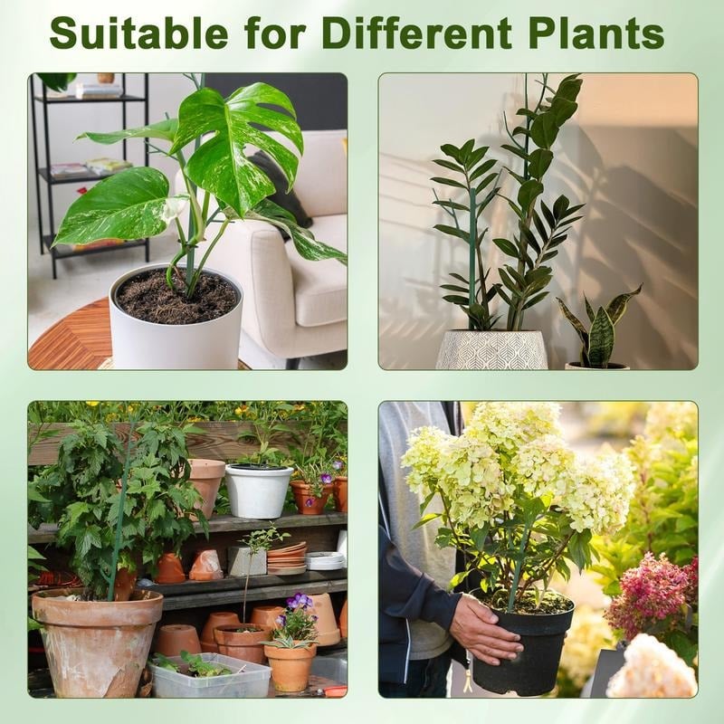 Plant Support Stakes