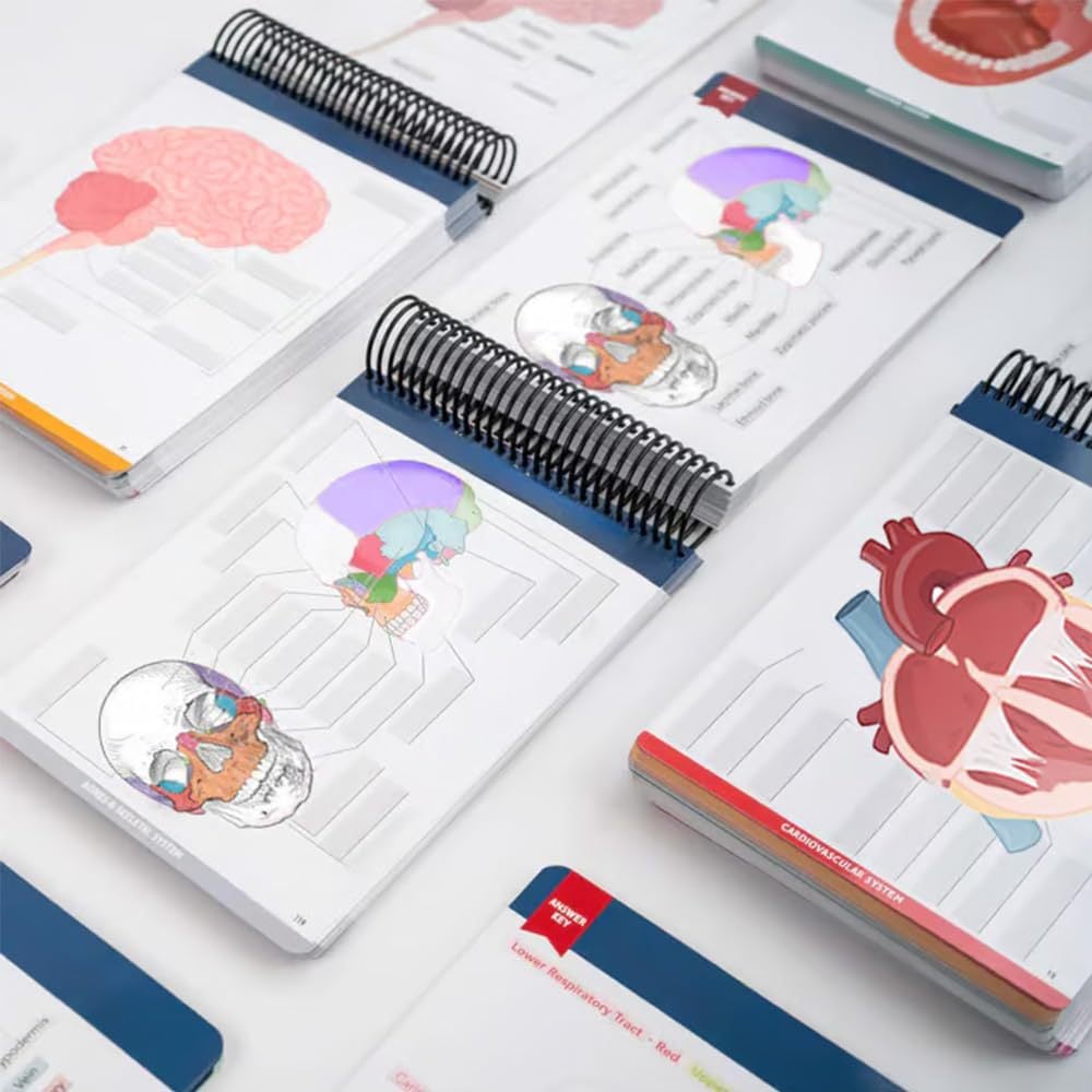 📘Anatomy Label Workbook – Master Human Anatomy with Ease