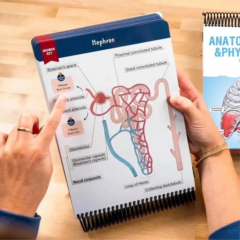 📘Anatomy Label Workbook – Master Human Anatomy with Ease
