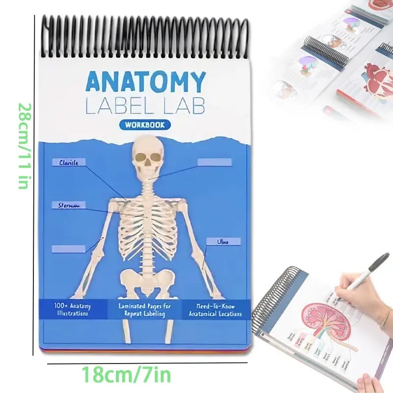 📘Anatomy Label Workbook – Master Human Anatomy with Ease