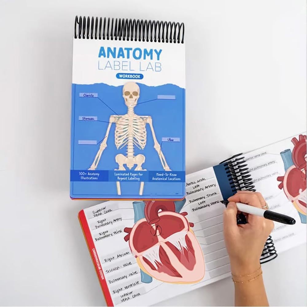 📘Anatomy Label Workbook – Master Human Anatomy with Ease