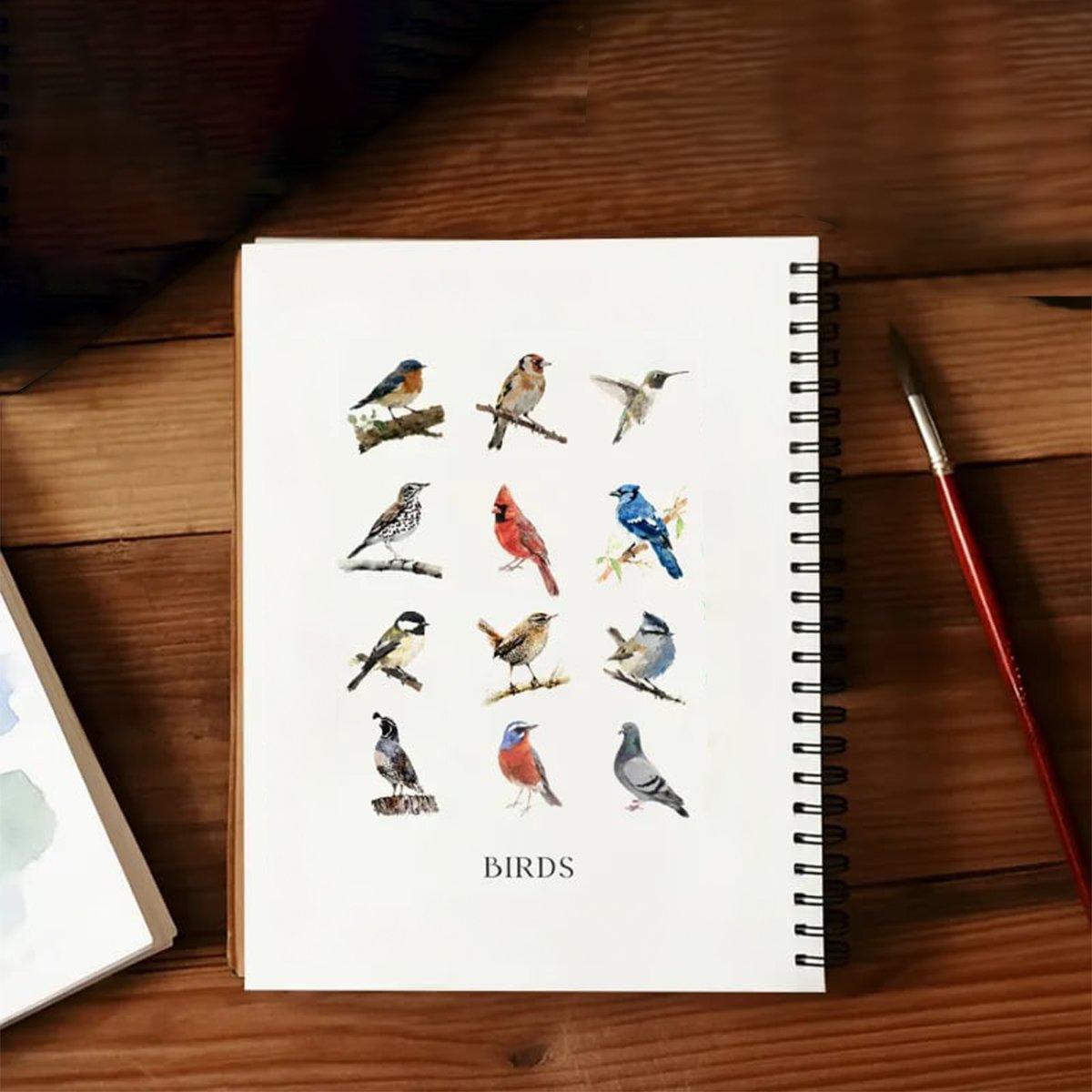 🖼️Beginner-Friendly💕 Watercolor Workbook
