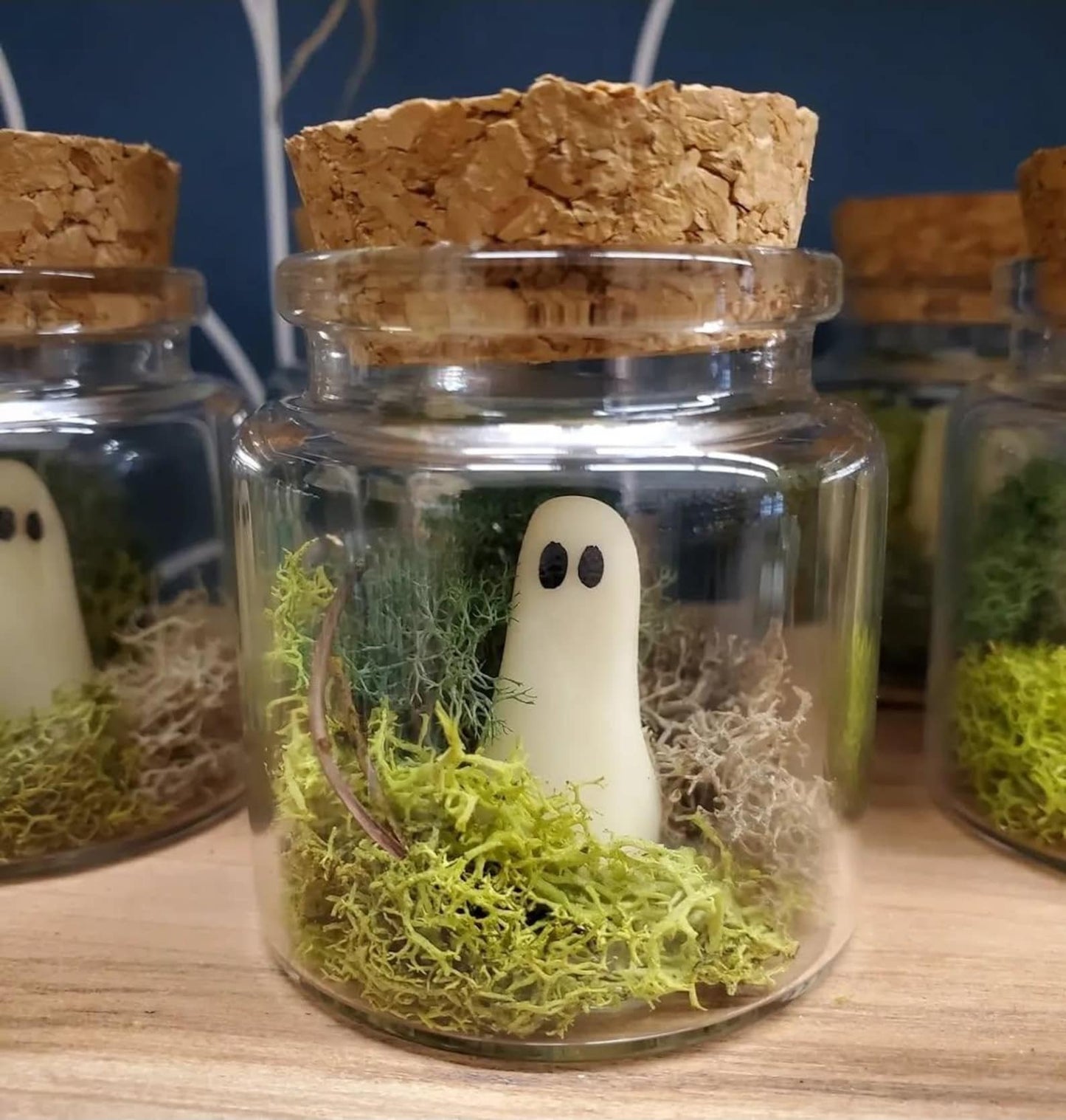 LAST DAY 49% OFF🔥Pet Ghost in Bottle