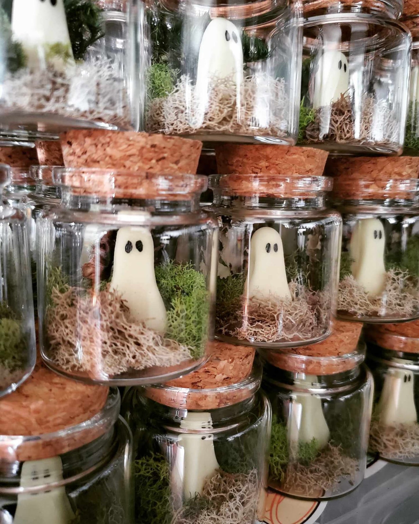 LAST DAY 49% OFF🔥Pet Ghost in Bottle