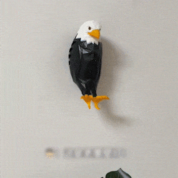 American Eagle Night Light with Remote Control - elehancea