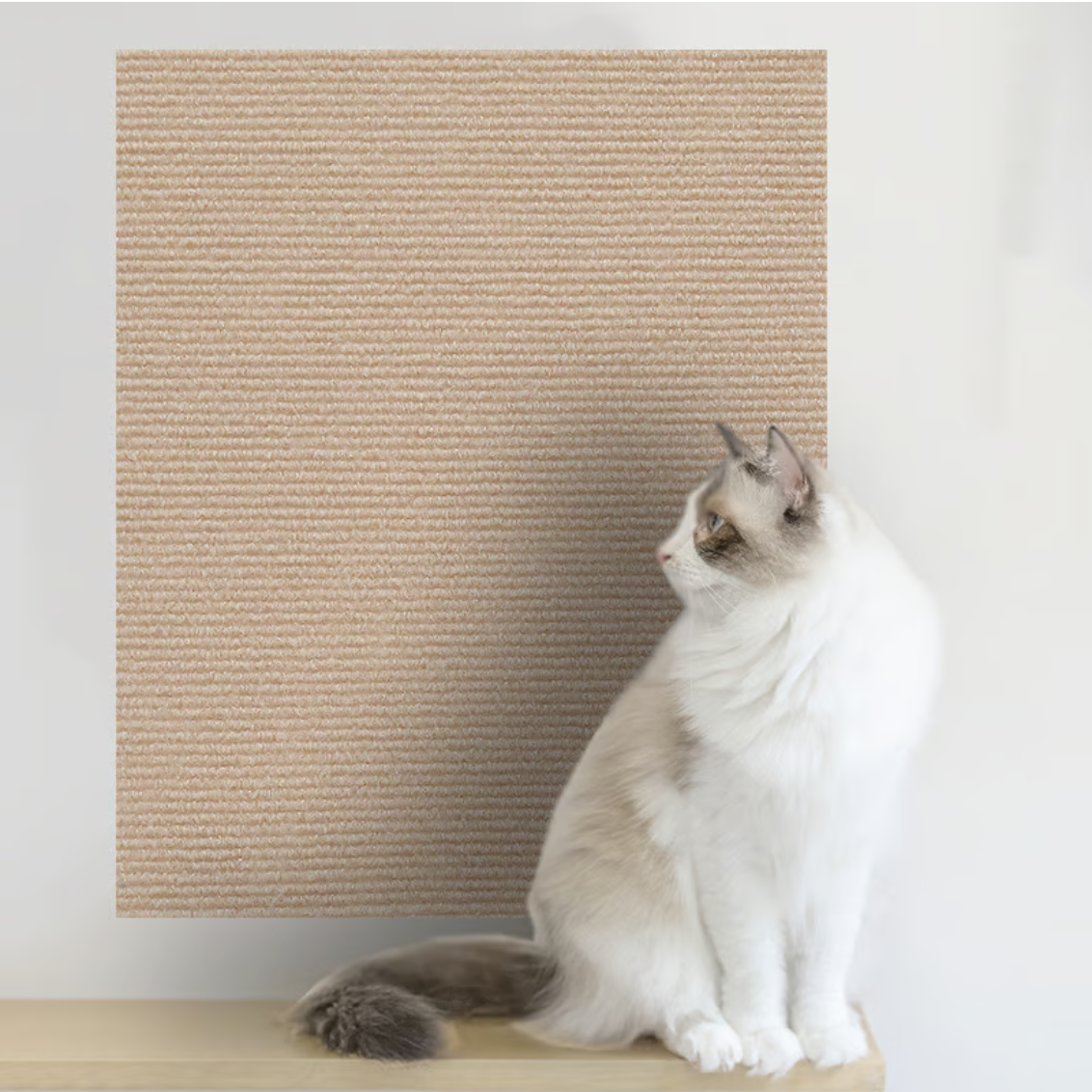 Cat Scratching Mat Self-Adhesive Trimmable Cat Carpet - elehancea