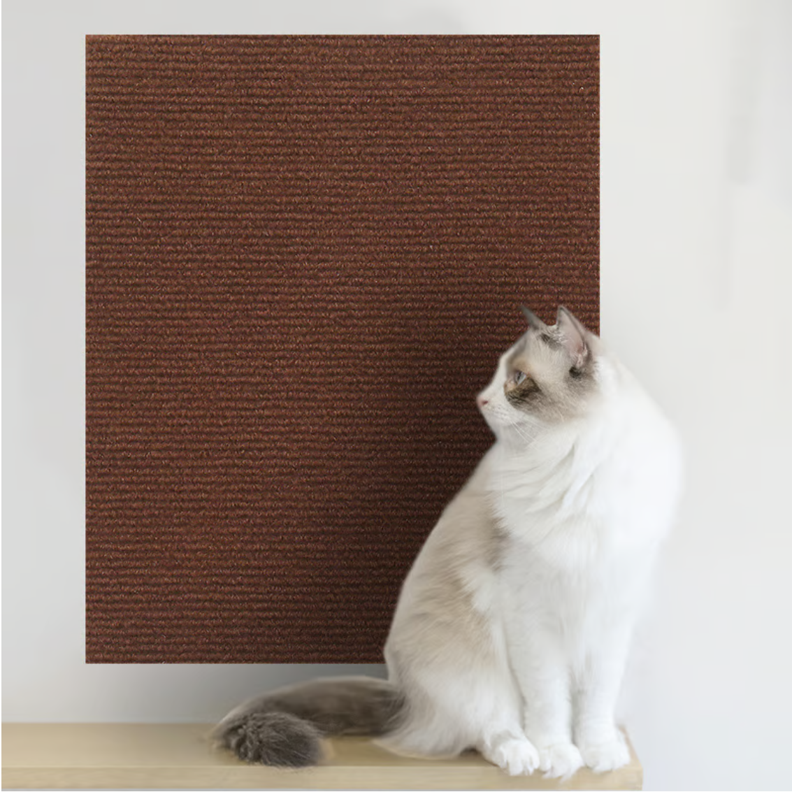 Cat Scratching Mat Self-Adhesive Trimmable Cat Carpet - elehancea