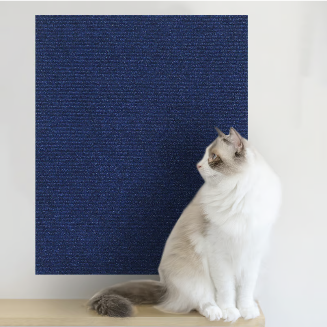 Cat Scratching Mat Self-Adhesive Trimmable Cat Carpet - elehancea