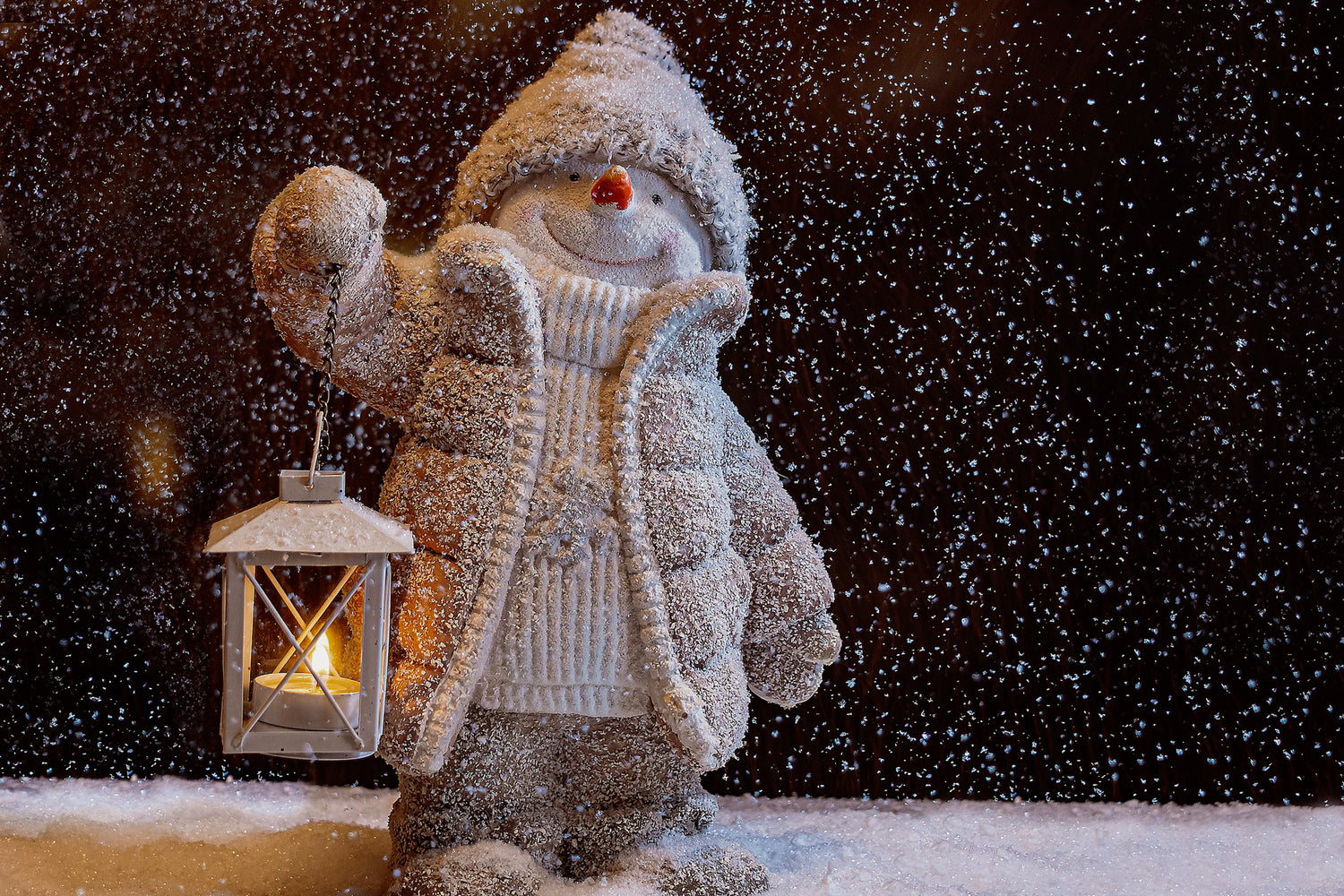 Winter Products