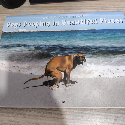 😆Funniest calendar of the century|"Artistic expression" of furry friends