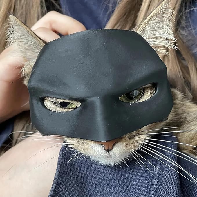 Cat Bat Cosplay Half Face Mask