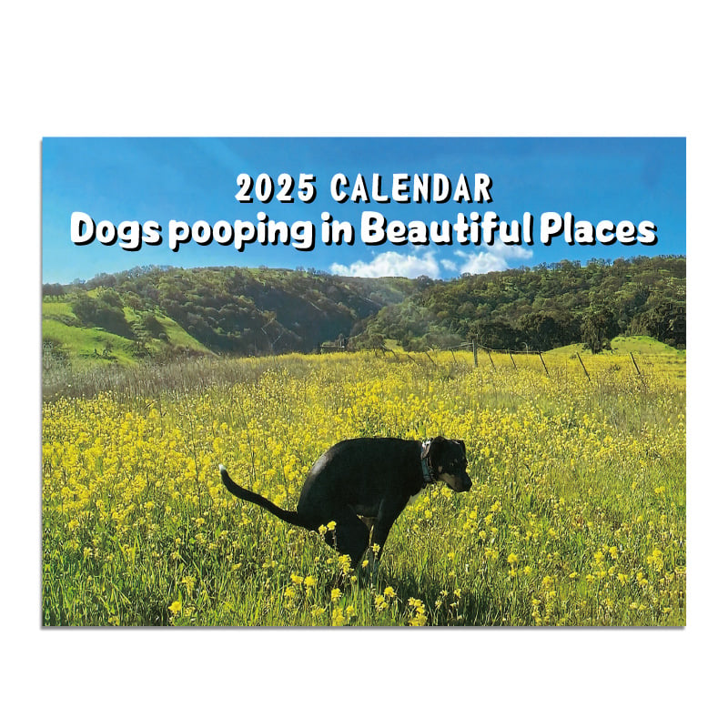 😆Funniest calendar of the century|"Artistic expression" of furry friends